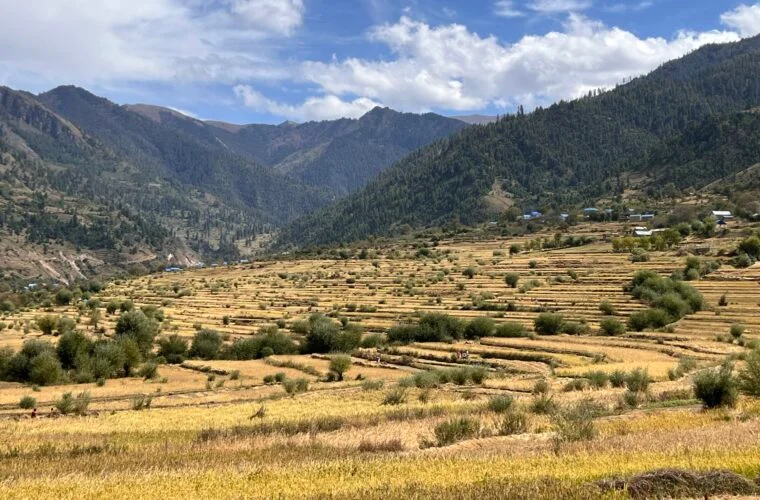 Thahanepal
